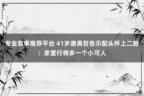 专业赛事推荐平台 41岁唐禹哲告示配头怀上二胎：家里行将多一个小可人