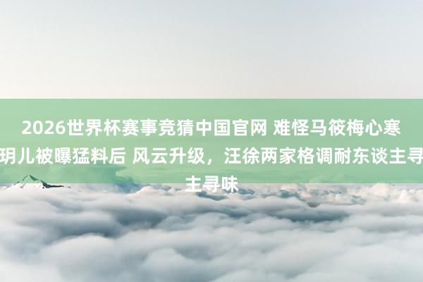 2026世界杯赛事竞猜中国官网 难怪马筱梅心寒，玥儿被曝猛料后 风云升级，汪徐两家格调耐东谈主寻味