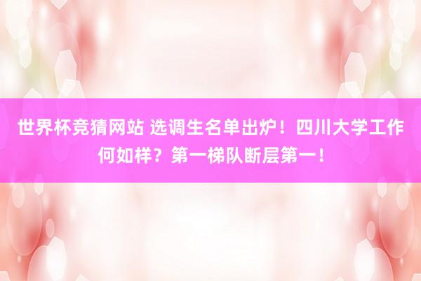 世界杯竞猜网站 选调生名单出炉！四川大学工作何如样？第一梯队断层第一！