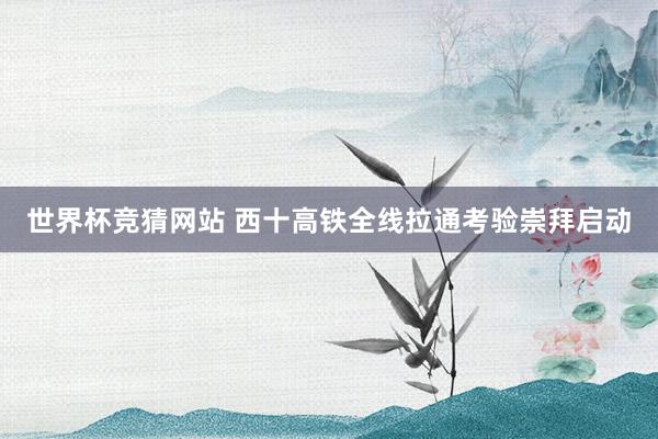 世界杯竞猜网站 西十高铁全线拉通考验崇拜启动