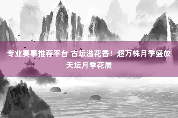 专业赛事推荐平台 古坛溢花香！超万株月季盛放天坛月季花展