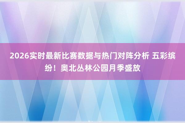 2026实时最新比赛数据与热门对阵分析 五彩缤纷！奥北丛林公园月季盛放