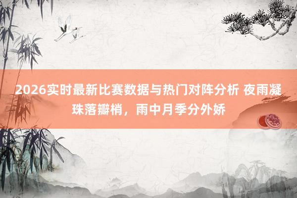 2026实时最新比赛数据与热门对阵分析 夜雨凝珠落瓣梢，雨中月季分外娇