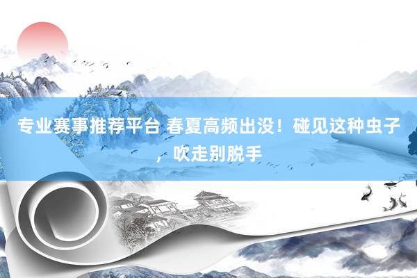 专业赛事推荐平台 春夏高频出没！碰见这种虫子，吹走别脱手