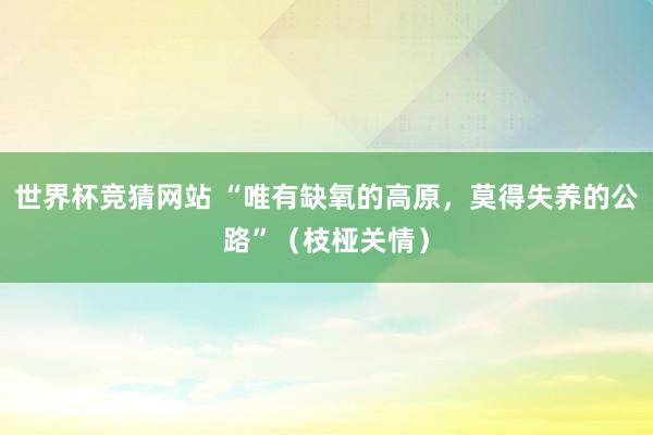 世界杯竞猜网站 “唯有缺氧的高原，莫得失养的公路”（枝桠关情）
