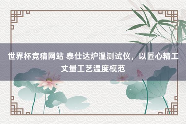 世界杯竞猜网站 泰仕达炉温测试仪，以匠心精工丈量工艺温度模范