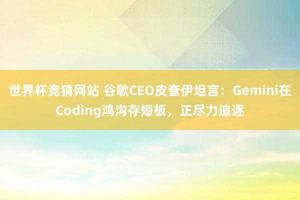 世界杯竞猜网站 谷歌CEO皮查伊坦言：Gemini在Coding鸿沟存短板，正尽力追逐