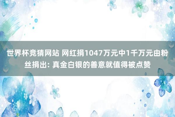 世界杯竞猜网站 网红捐1047万元中1千万元由粉丝捐出: 真金白银的善意就值得被点赞