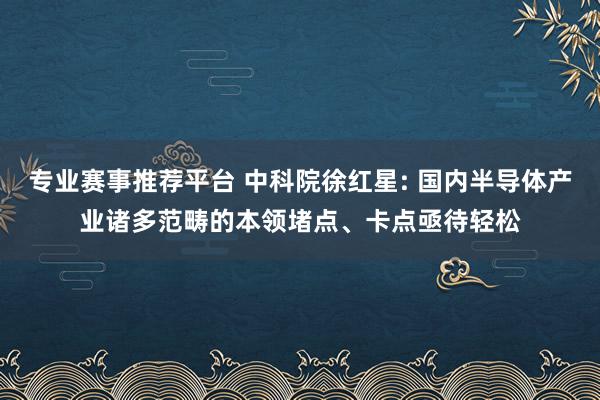 专业赛事推荐平台 中科院徐红星: 国内半导体产业诸多范畴的本领堵点、卡点亟待轻松