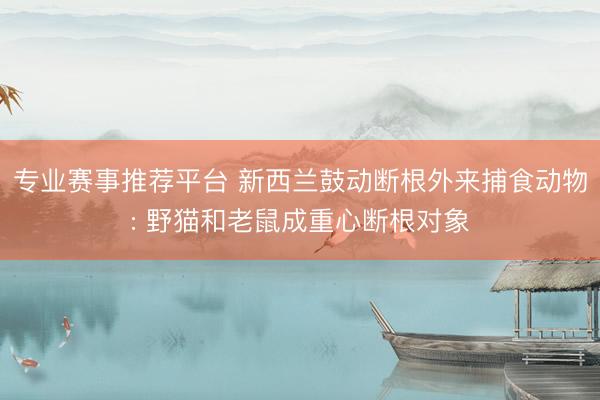 专业赛事推荐平台 新西兰鼓动断根外来捕食动物: 野猫和老鼠成重心断根对象